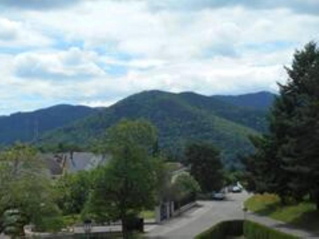 Gite Spacieux, Lumineux Et Tres Cosy Lautenbach 外观 照片