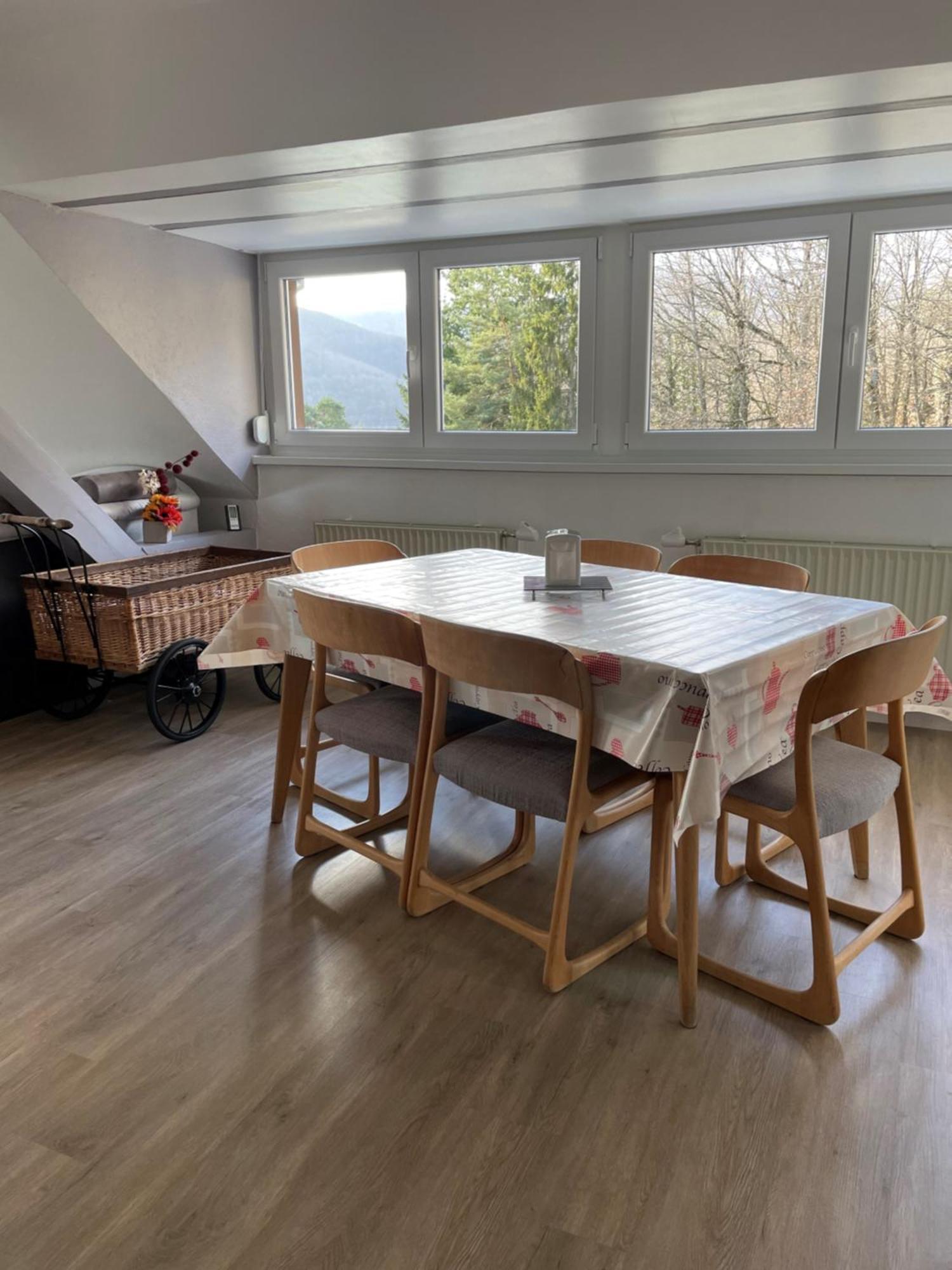 Gite Spacieux, Lumineux Et Tres Cosy Lautenbach 外观 照片